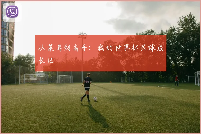 从菜鸟到高手：我的世界杯买球成长记