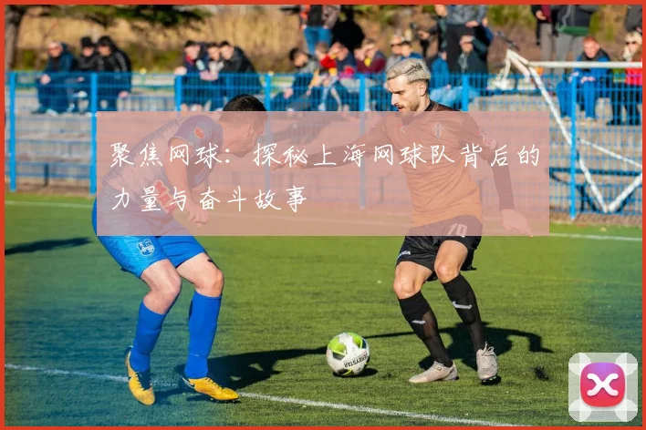 聚焦网球：探秘上海网球队背后的力量与奋斗故事