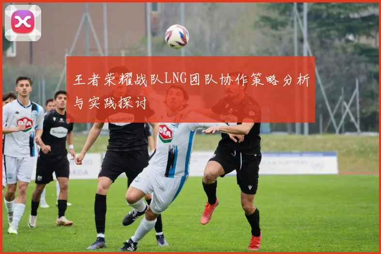 王者荣耀战队LNG团队协作策略分析与实践探讨